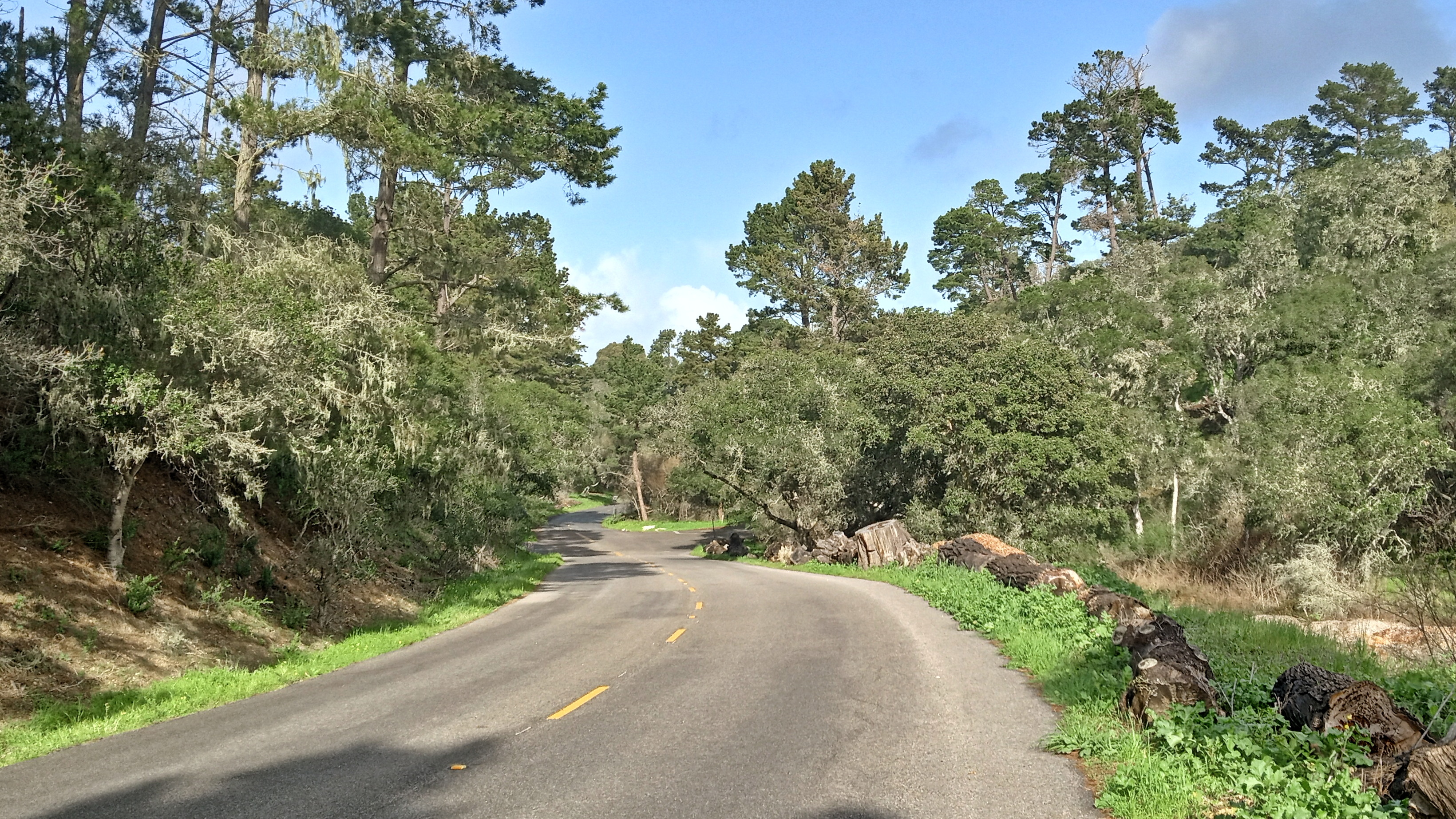 20230205-Walk-to-Del-Monte-Center