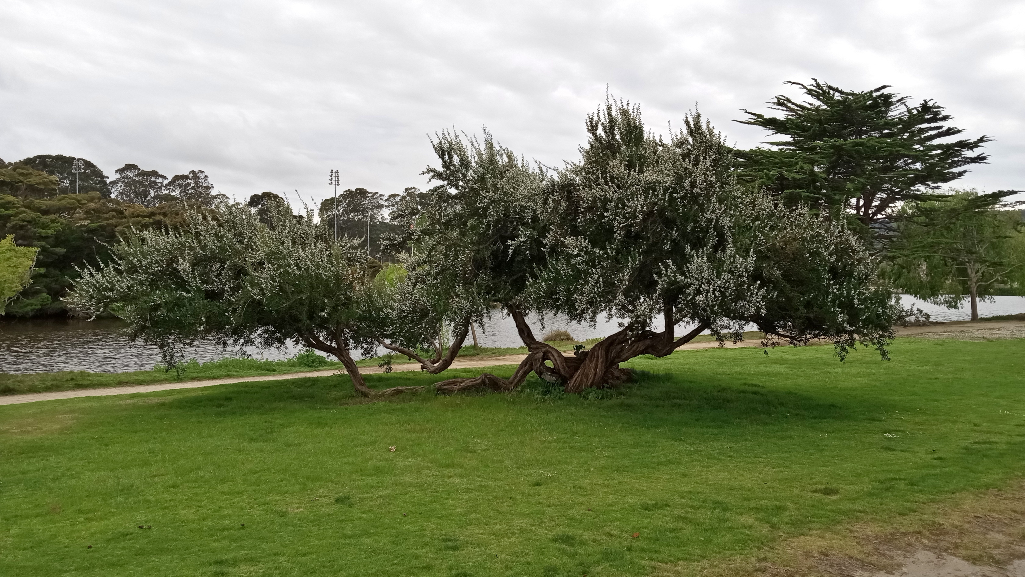 20230505-Monterey-Lake