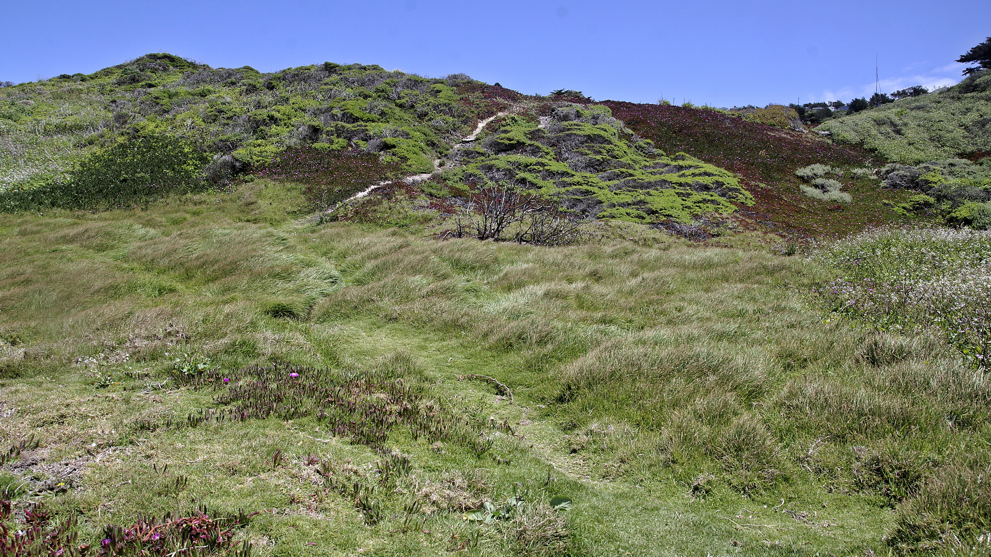20230529-Mussle-Rock-04