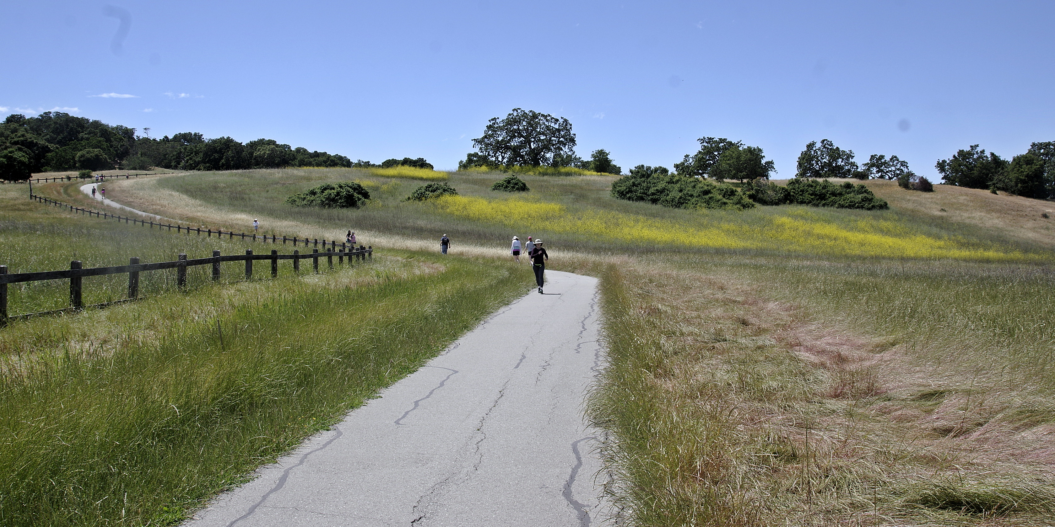 20230529-Stanford-Dish-01
