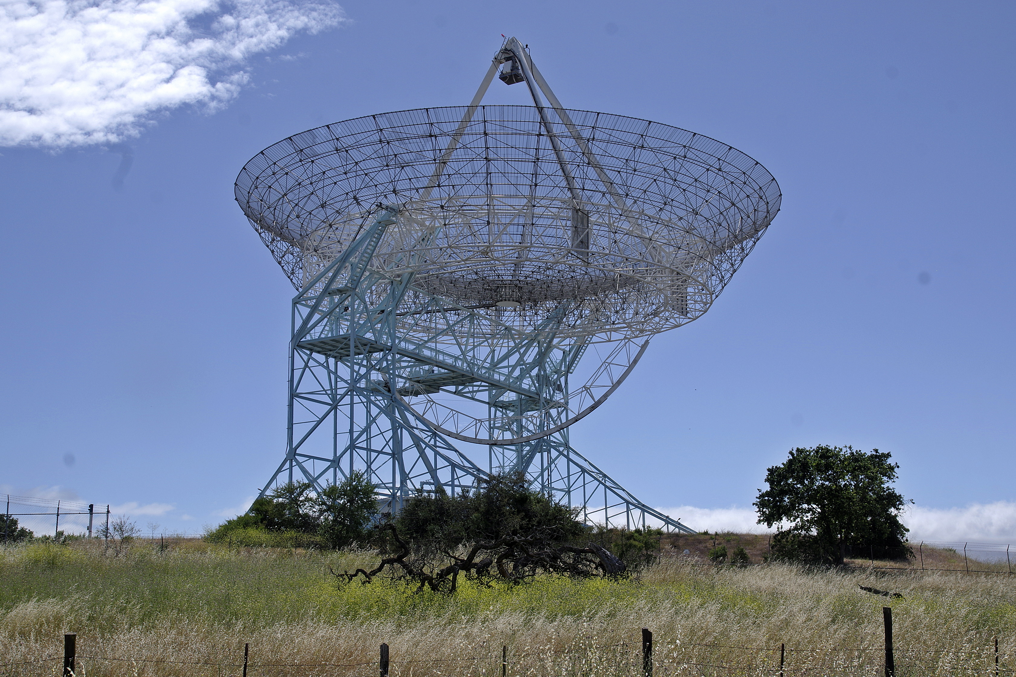 20230529-Stanford-Dish-04