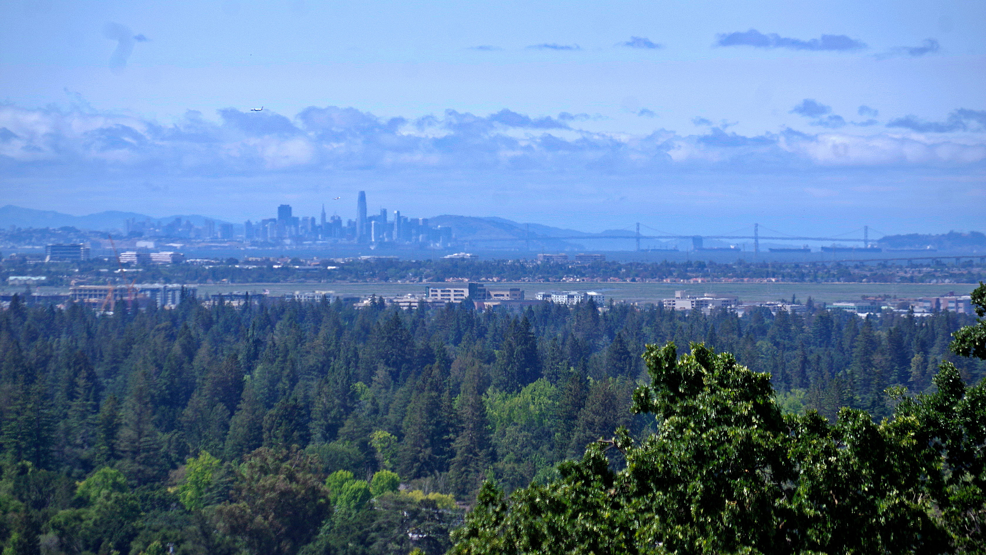 20230529-Stanford-Dish-05