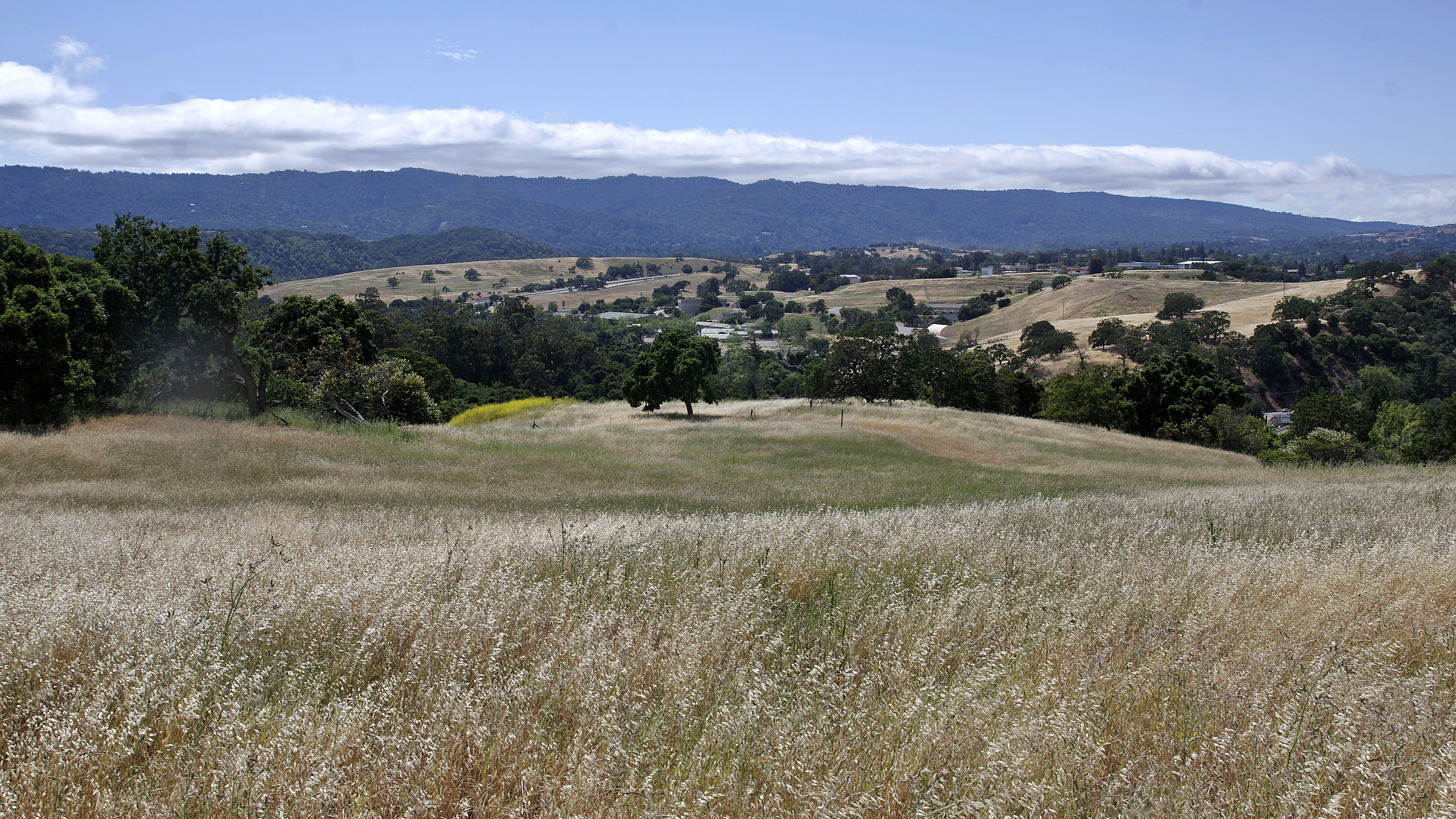 20230529-Stanford-Dish-06