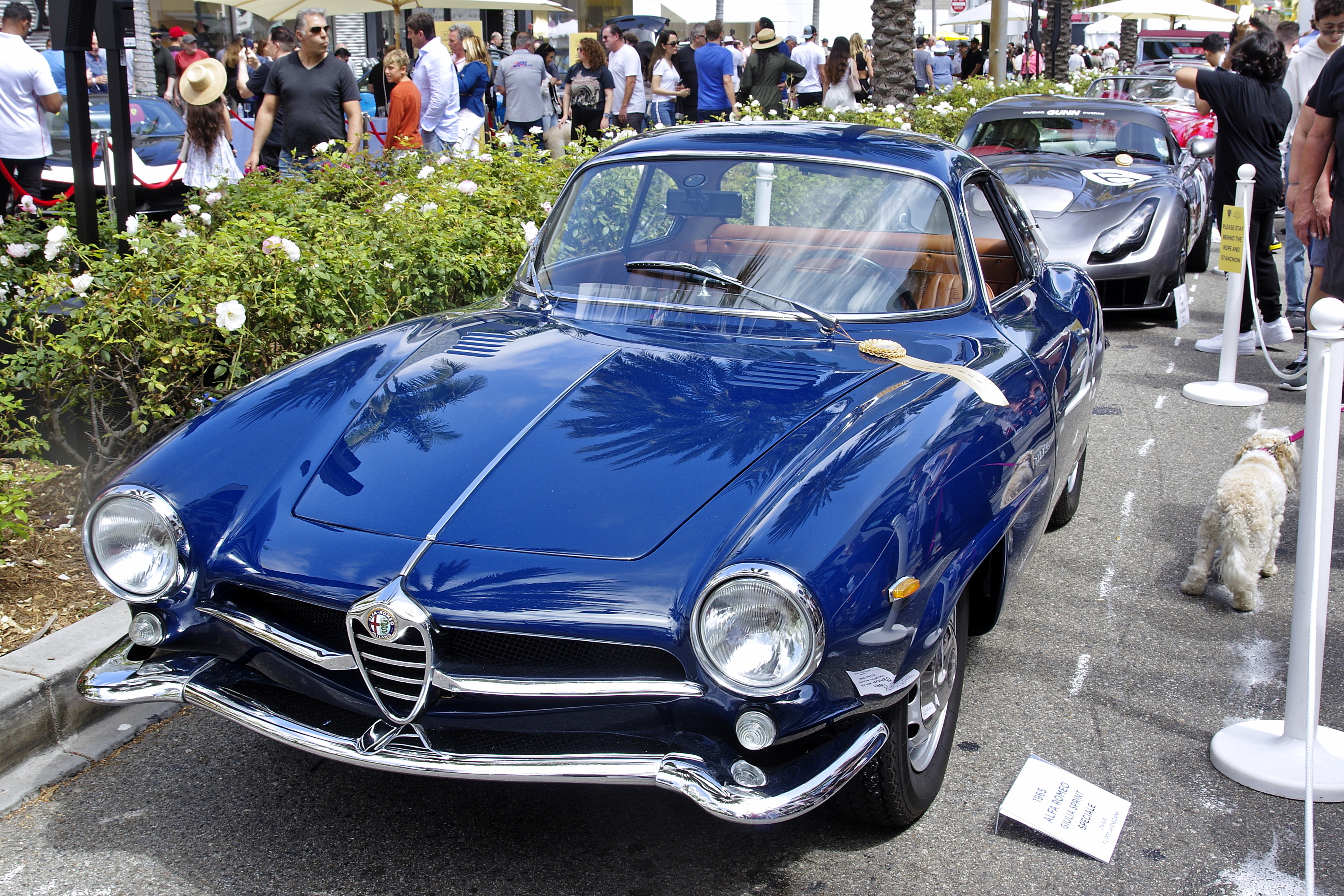 20230618-Beverly-Hills-09