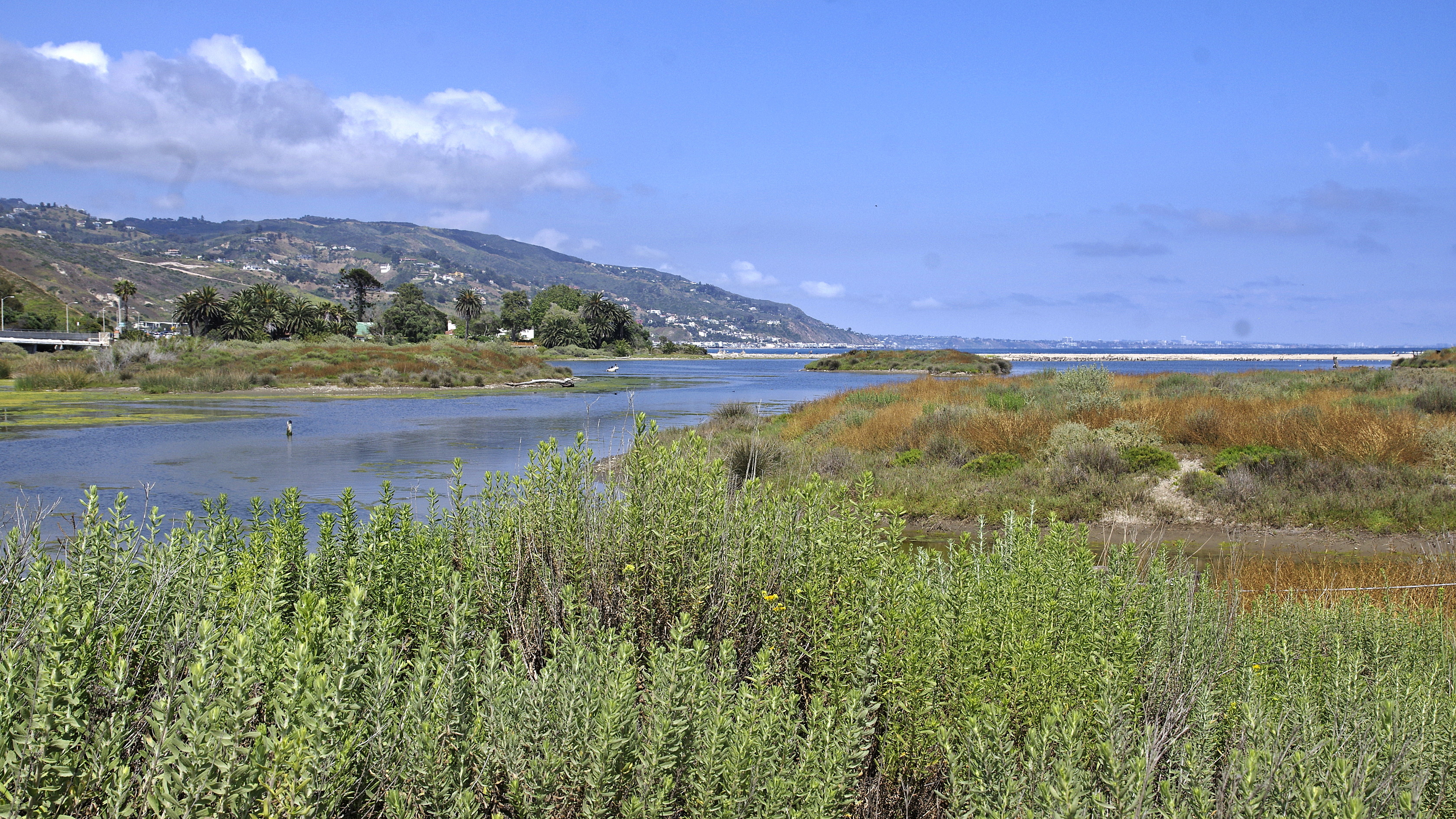 20230619-Malibu-Beach-02