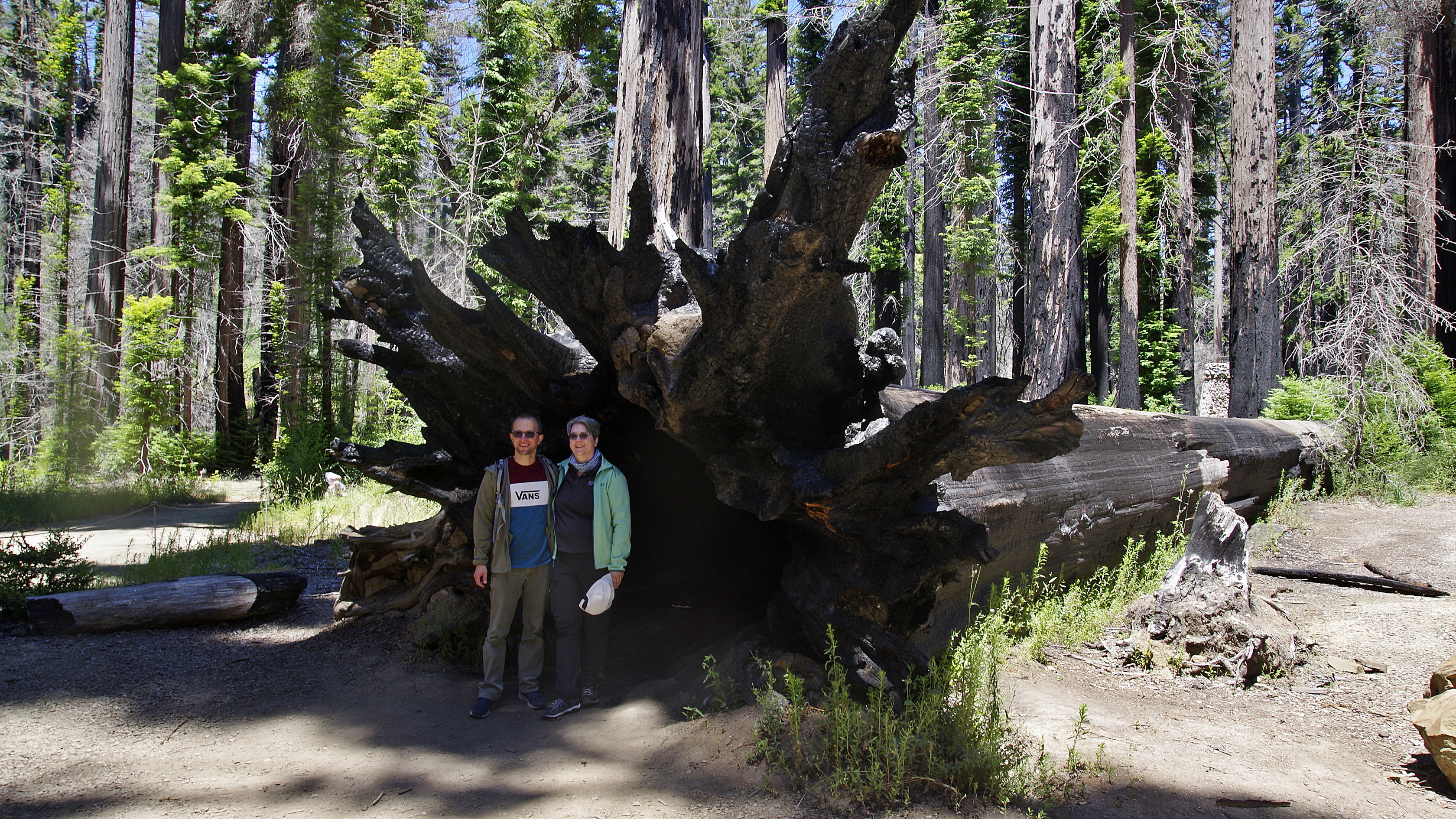 20230709-Big-Basis-Redwood-02