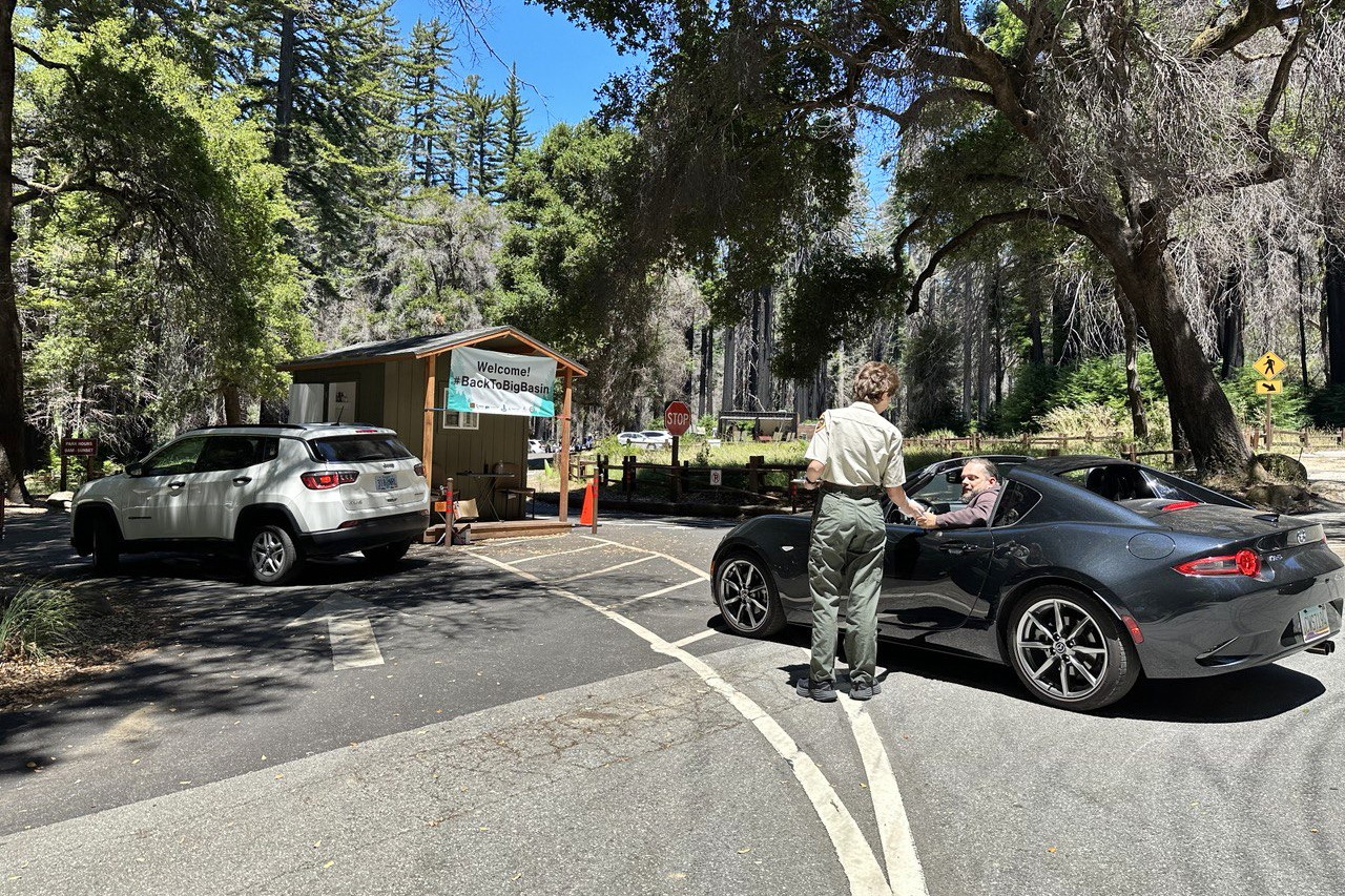 20230709-Big-Basis-Redwood-Park-09