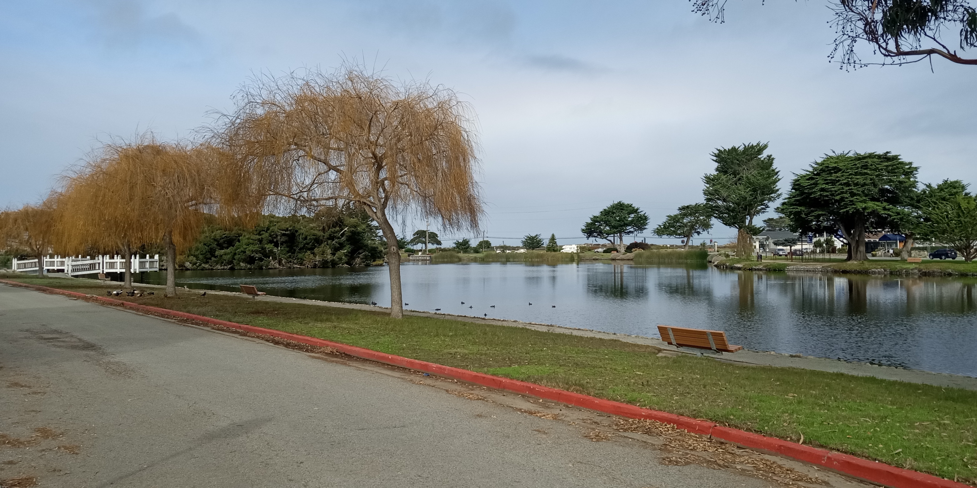 20240109-Monterey-2