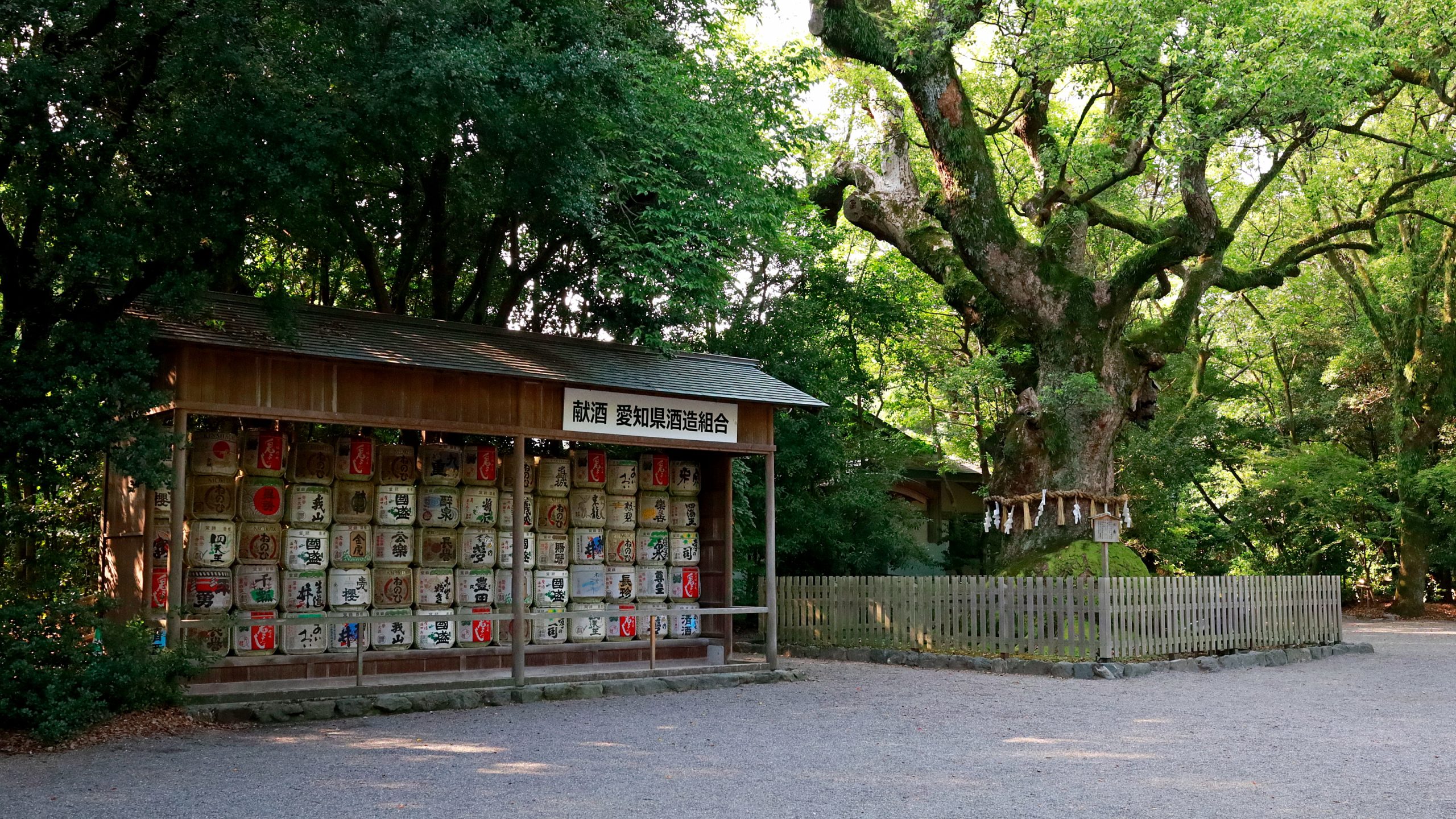 20250917 - Nagoya 07