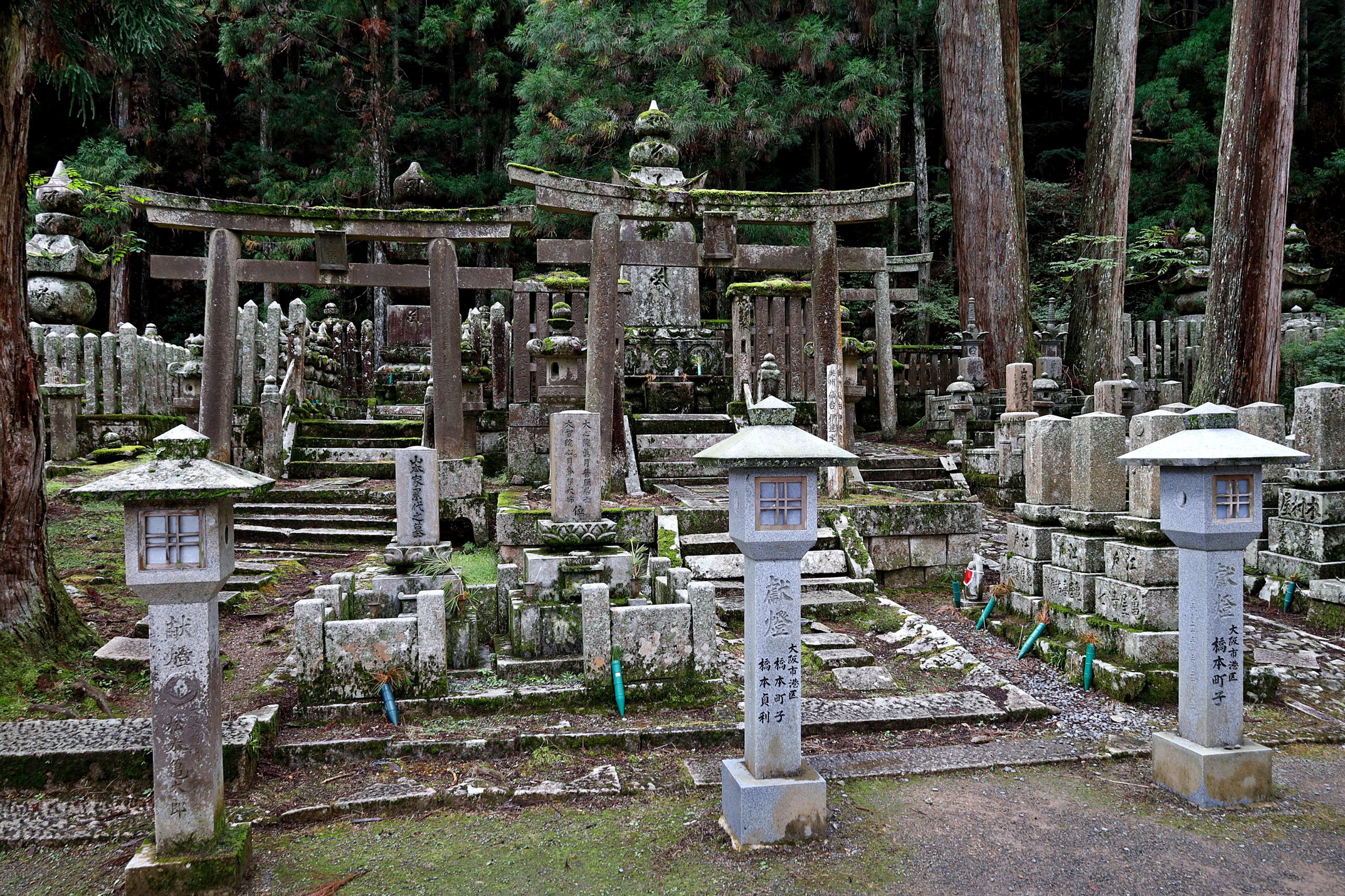 20250929 - Koyasan 07