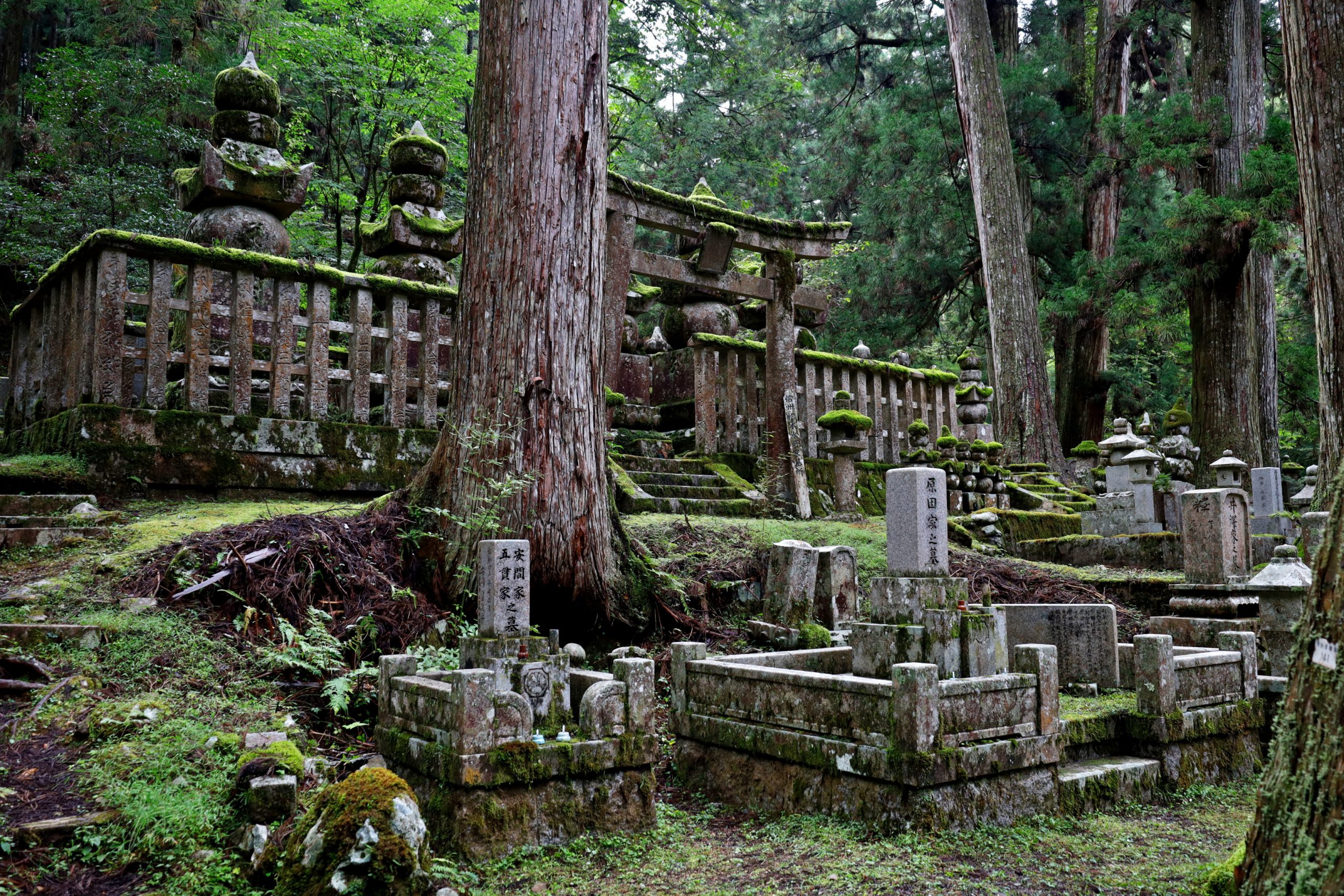 20250929 - Koyasan 09