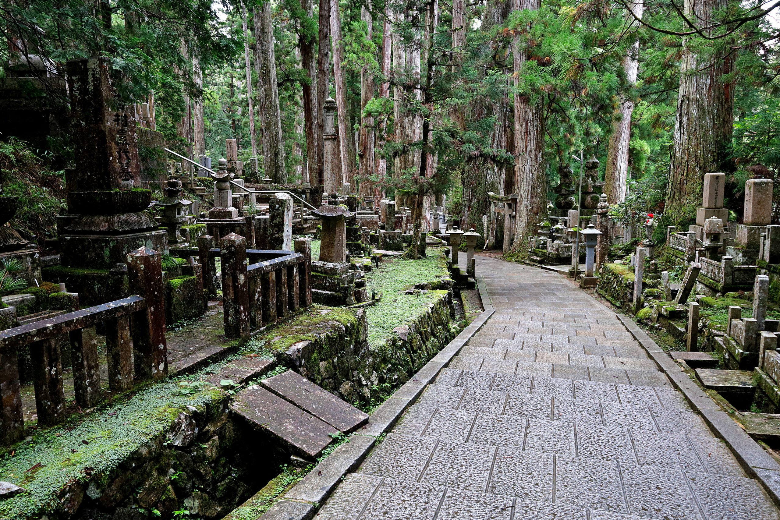 20250929 - Koyasan 11
