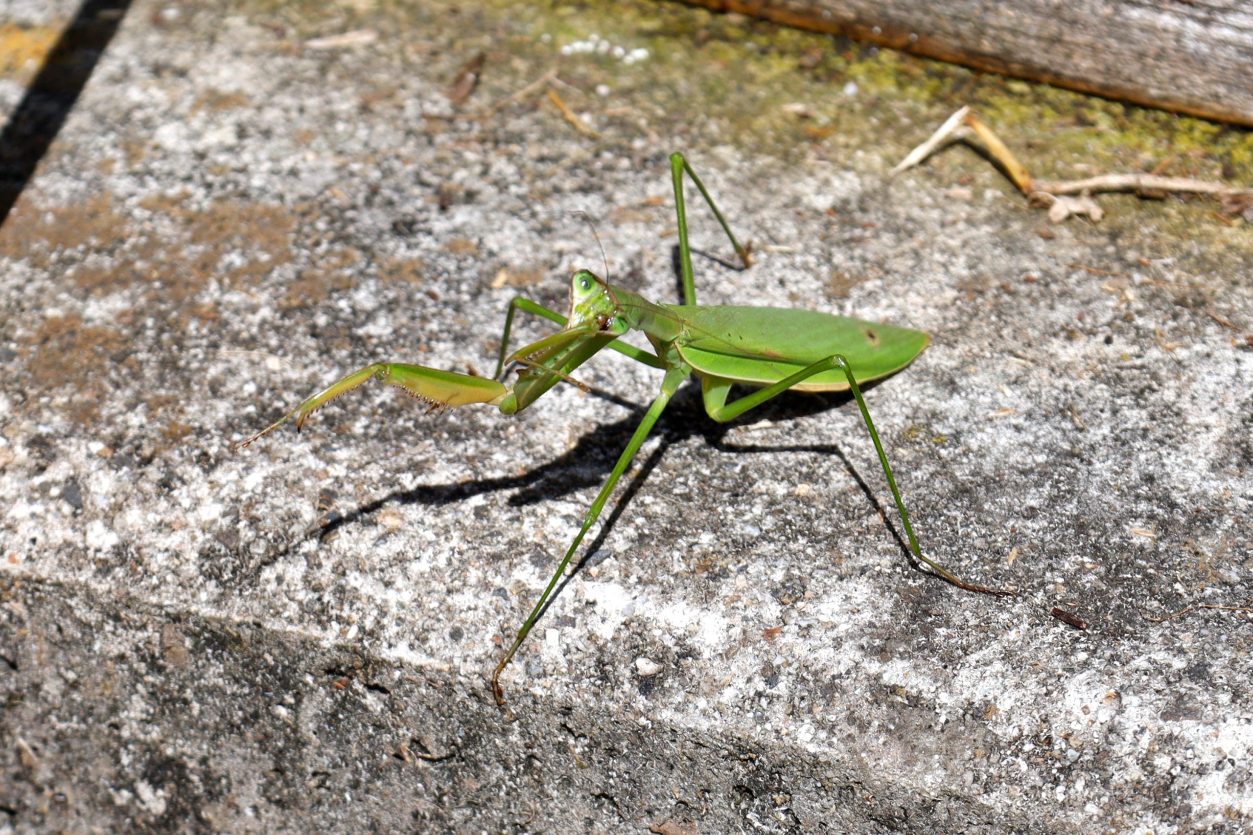 20251002 - Kisodani Tsumago 04