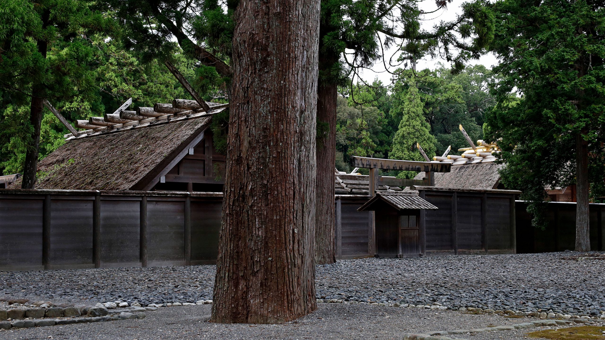 20251003 - Ise Outer Shrine 01
