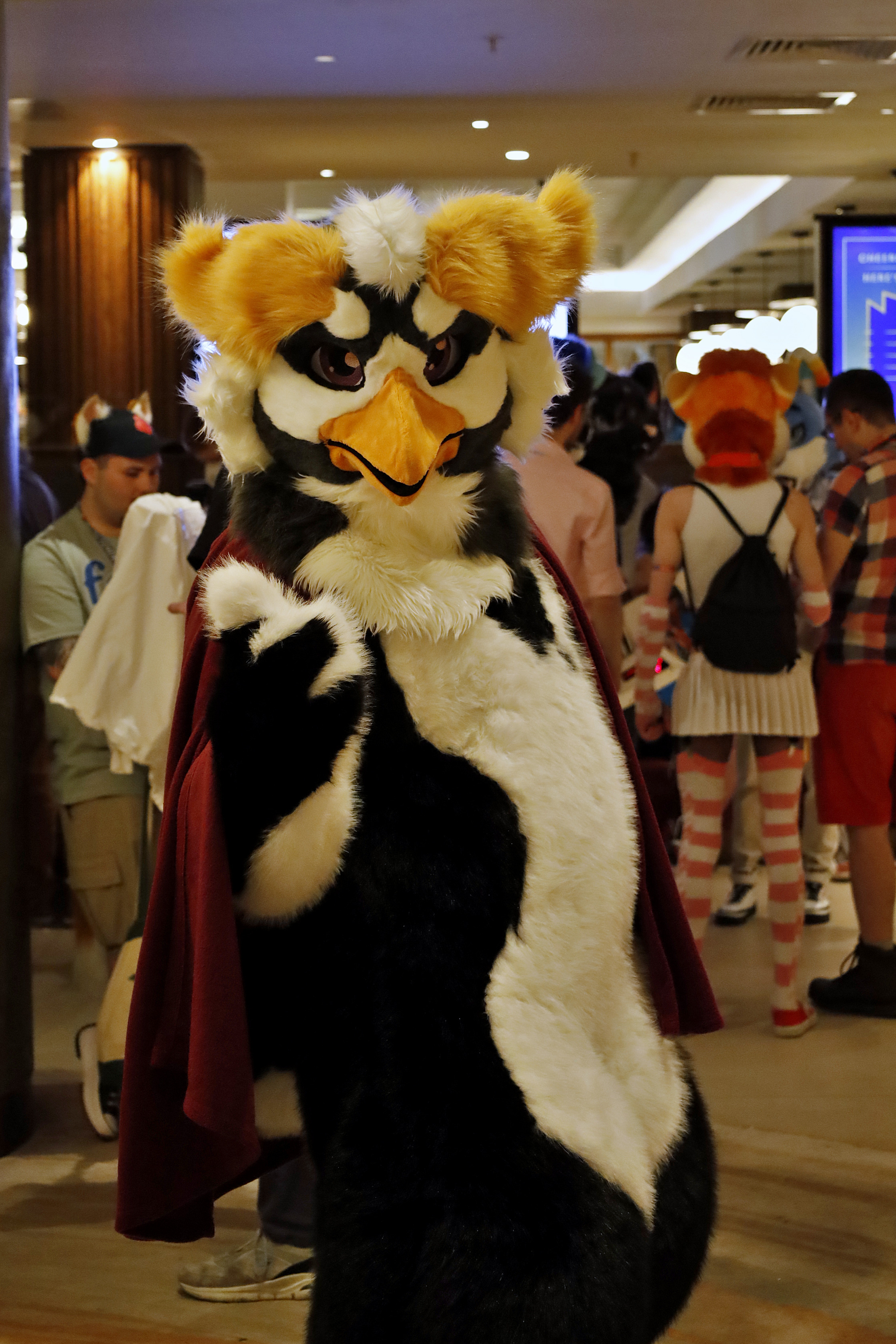 20260524 - ConFuzzled 09