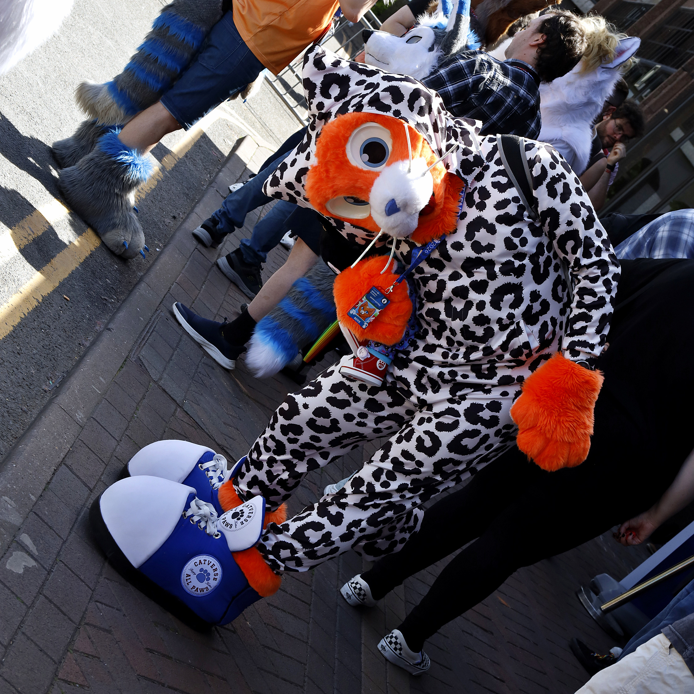 20260524 - ConFuzzled 12